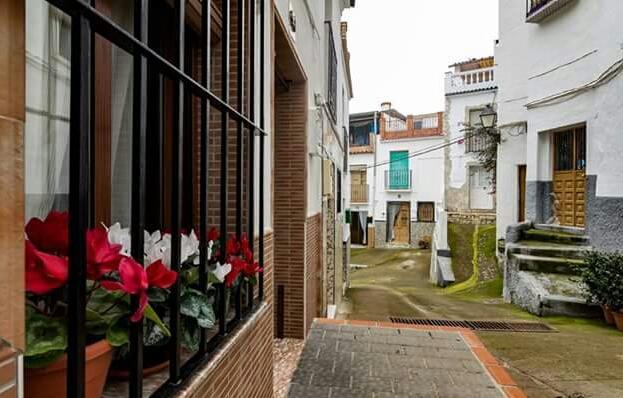 Hotel Las Flores Tolox Εξωτερικό φωτογραφία