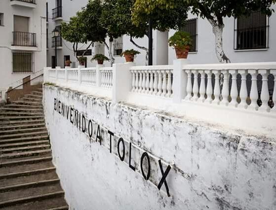 Hotel Las Flores Tolox Εξωτερικό φωτογραφία