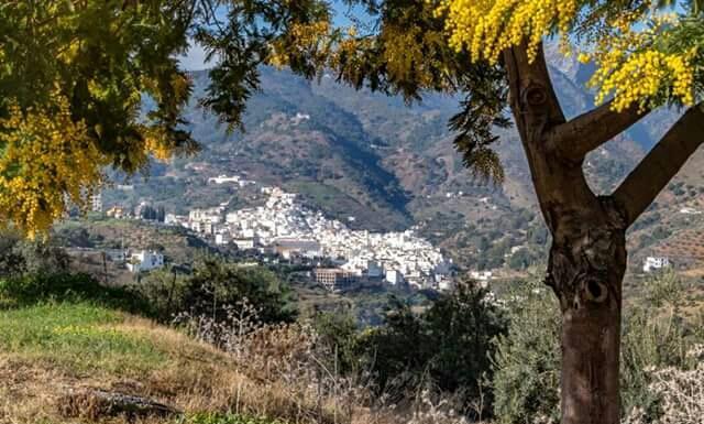 Hotel Las Flores Tolox Εξωτερικό φωτογραφία